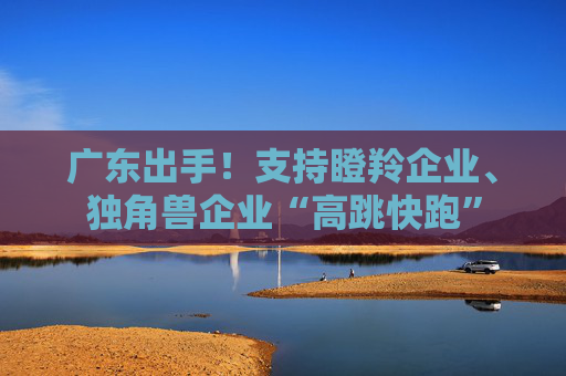广东出手！支持瞪羚企业、独角兽企业“高跳快跑”