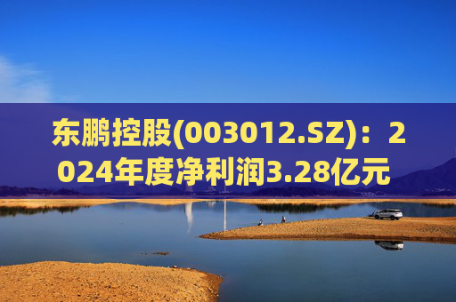 东鹏控股(003012.SZ)：2024年度净利润3.28亿元 拟10派2.5元  第1张