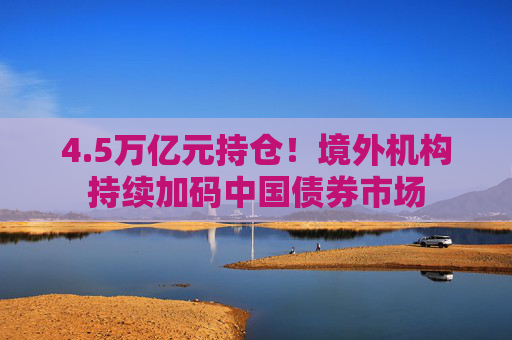 4.5万亿元持仓！境外机构持续加码中国债券市场  第1张