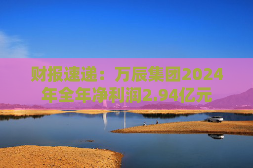 财报速递：万辰集团2024年全年净利润2.94亿元