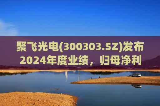 聚飞光电(300303.SZ)发布2024年度业绩，归母净利润3.4亿元，增长47.63%  第1张