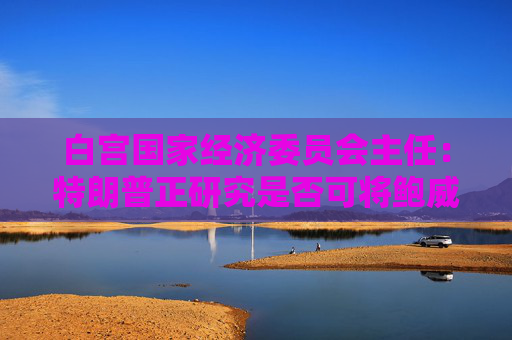 白宫国家经济委员会主任：特朗普正研究是否可将鲍威尔解职  第1张