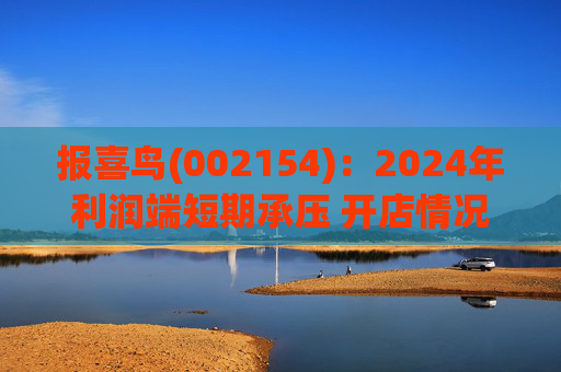 报喜鸟(002154)：2024年利润端短期承压 开店情况符合预期