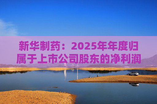 新华制药：2025年年度归属于上市公司股东的净利润是289888855.00元