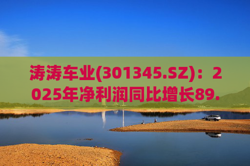 涛涛车业(301345.SZ)：2025年净利润同比增长89.29% 拟10派15元