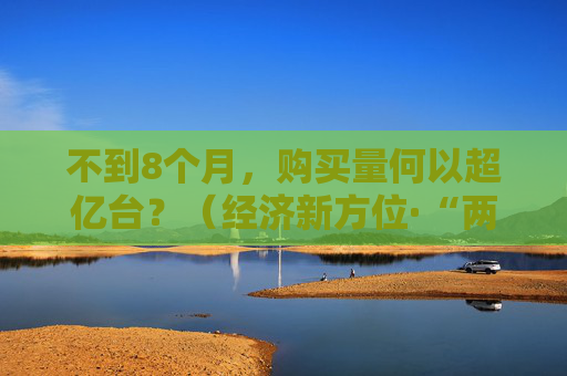 不到8个月，购买量何以超亿台？（经济新方位·“两新”政策发力显效）
