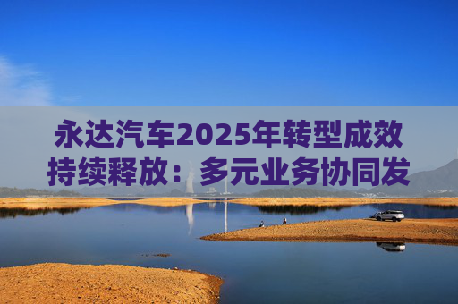 永达汽车2025年转型成效持续释放：多元业务协同发力，经营质量持续提升
