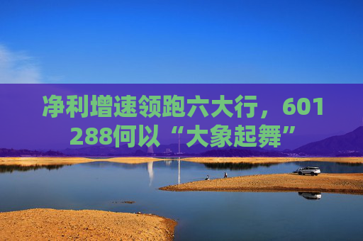 净利增速领跑六大行，601288何以“大象起舞”