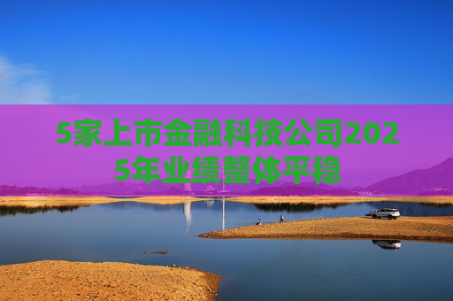 5家上市金融科技公司2025年业绩整体平稳  第1张