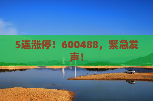 5连涨停!600488,紧急发声! 第1张 5连涨停!600488,紧急发声! 第1张