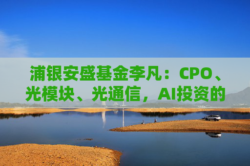 浦银安盛基金李凡：CPO、光模块、光通信，AI投资的三个必懂词