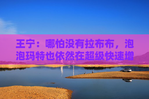 王宁：哪怕没有拉布布，泡泡玛特也依然在超级快速增长