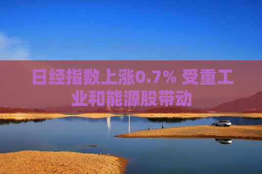 日经指数上涨0.7% 受重工业和能源股带动