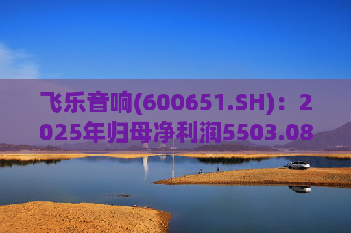 飞乐音响(600651.SH)：2025年归母净利润5503.08万元，同比增长39.41%