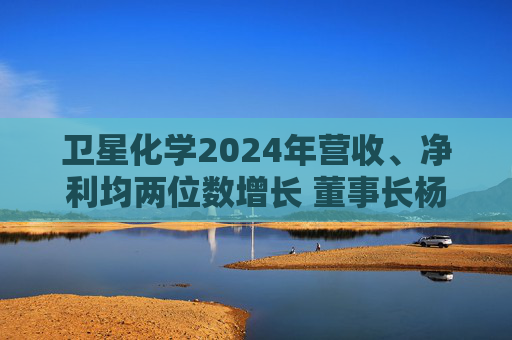 卫星化学2024年营收、净利均两位数增长 董事长杨卫东：将积极采取可行方案应对关税调整