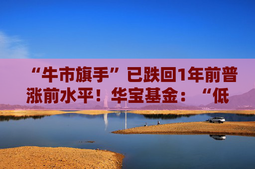 “牛市旗手”已跌回1年前普涨前水平！华宝基金：“低估值”与“基本面高增” 相背离，估值快速修复机会凸显