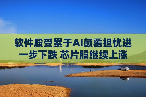 软件股受累于AI颠覆担忧进一步下跌 芯片股继续上涨