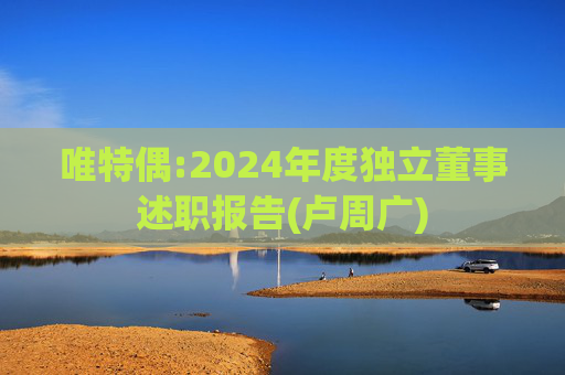 唯特偶:2024年度独立董事述职报告(卢周广)