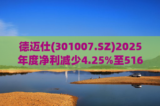 德迈仕(301007.SZ)2025年度净利减少4.25%至5168.45万元  拟10派0.7元