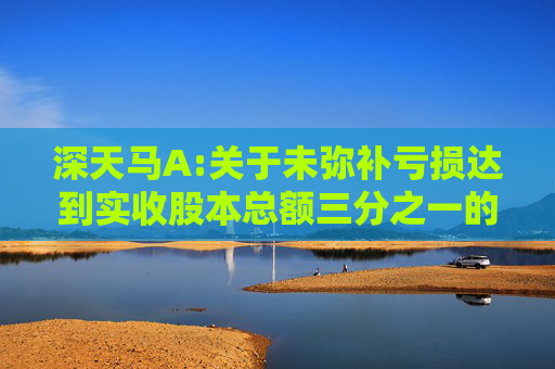 深天马A:关于未弥补亏损达到实收股本总额三分之一的公告