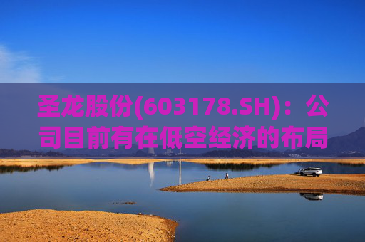 圣龙股份(603178.SH)：公司目前有在低空经济的布局