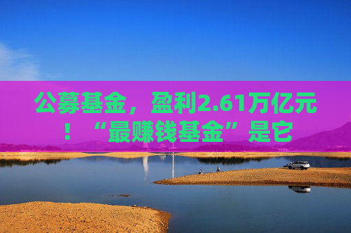 公募基金，盈利2.61万亿元！“最赚钱基金”是它