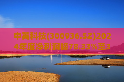 中英科技(300936.SZ)2024年度净利润降78.33%至3163.82万元  拟10派1元 第1张