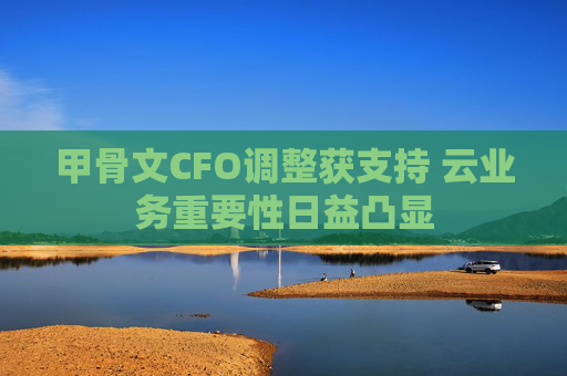 甲骨文CFO调整获支持 云业务重要性日益凸显