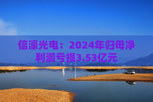信濠光电：2024年归母净利润亏损3.53亿元
