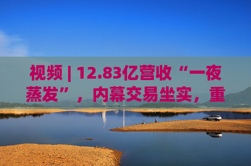 视频 | 12.83亿营收“一夜蒸发”，内幕交易坐实，重组停滞，万向钱潮内控隐疾显现