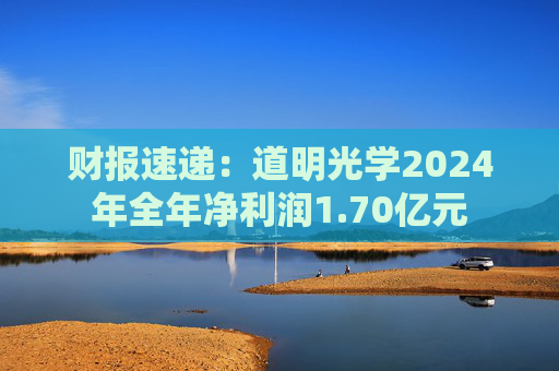财报速递：道明光学2024年全年净利润1.70亿元  第1张