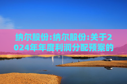 纳尔股份:纳尔股份:关于2024年年度利润分配预案的公告  第1张