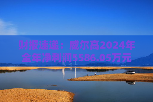 财报速递：威尔高2024年全年净利润5586.05万元
