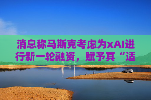 消息称马斯克考虑为xAI进行新一轮融资，赋予其“适当的价值”  第1张