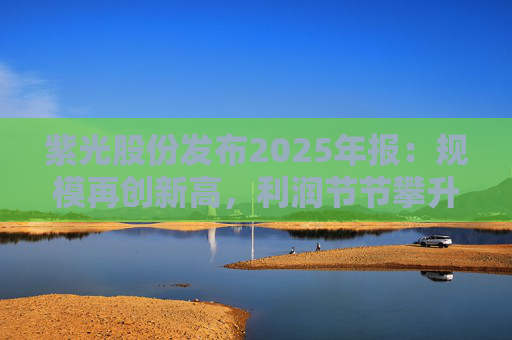 紫光股份发布2025年报：规模再创新高，利润节节攀升，AI红利持续释放