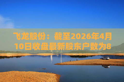 飞龙股份：截至2026年4月10日收盘最新股东户数为8万余户