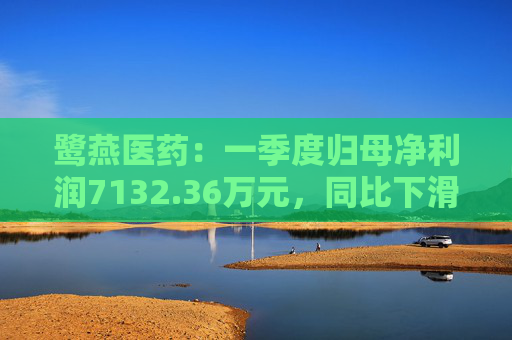 鹭燕医药：一季度归母净利润7132.36万元，同比下滑14.86%  第1张