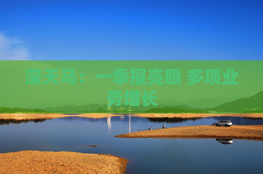 深天马：一季报亮眼 多项业务增长  第1张