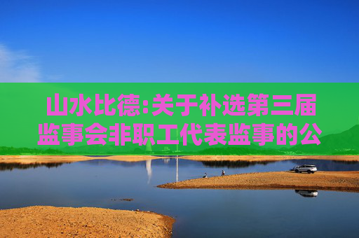 山水比德:关于补选第三届监事会非职工代表监事的公告