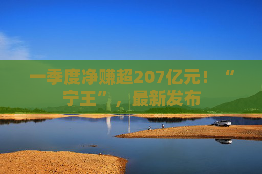 一季度净赚超207亿元！“宁王”，最新发布