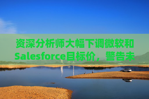 资深分析师大幅下调微软和Salesforce目标价，警告未来一年将"艰难"