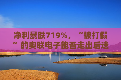 净利暴跌719%，“被打假”的奥联电子能否走出后遗症？