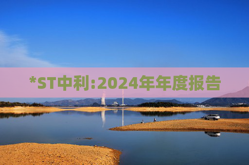 *ST中利:2024年年度报告