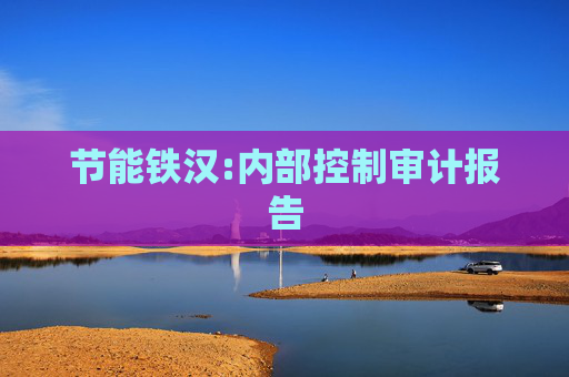节能铁汉:内部控制审计报告