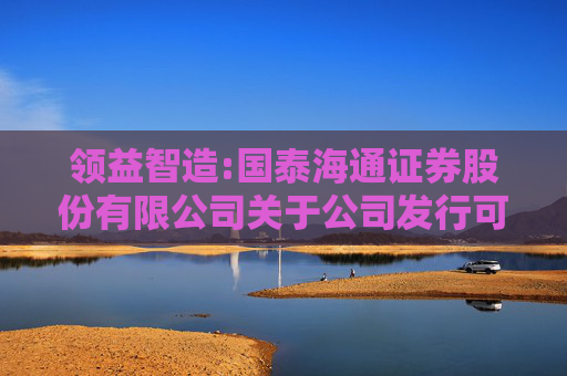 领益智造:国泰海通证券股份有限公司关于公司发行可转换公司债券及支付现金购买资产并募集配套资金报告书之独立财务顾问报告  第1张