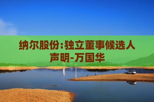 纳尔股份:独立董事候选人声明-万国华