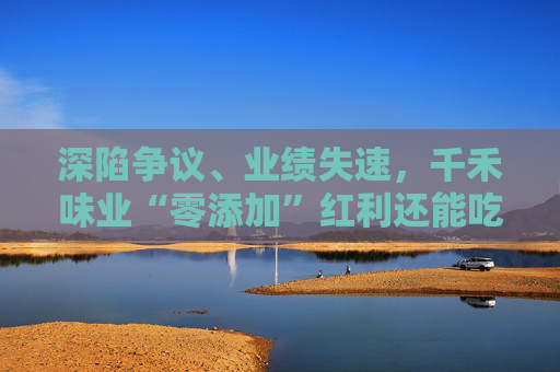 深陷争议、业绩失速，千禾味业“零添加”红利还能吃多久