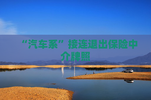 “汽车系”接连退出保险中介牌照