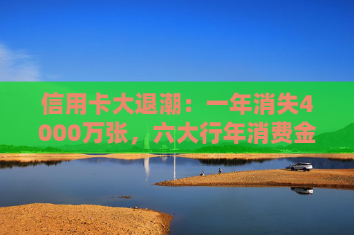 信用卡大退潮：一年消失4000万张，六大行年消费金额骤降8500亿元