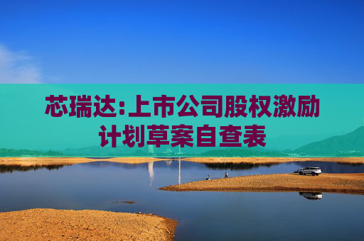 芯瑞达:上市公司股权激励计划草案自查表  第1张